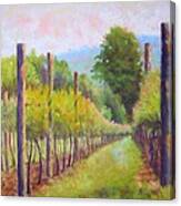 Estate Pinot Canvas Print