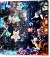 #estrella #star #aquarium #peixera Canvas Print