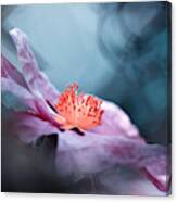 Even Flowers Have Stories To Tell Canvas Print