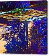Evening Glow On The Lily Pond Canvas Print
