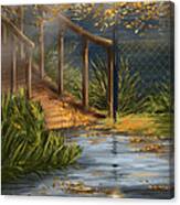 Evening In The Park Canvas Print