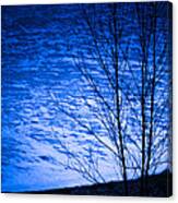 Evening Snow On An Icy Pond Canvas Print
