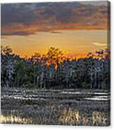 Everglades Panorama Canvas Print