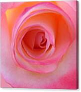 Eye Of The Rose Canvas Print