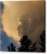 Face Of The Storm Canvas Print