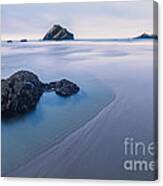 Face Rock Canvas Print