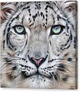 Faces Of The Wild - Snow Leopard Canvas Print