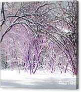 Fairies Winter Wonderland Canvas Print