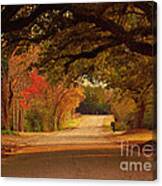 Fall Along A Country Road Canvas Print