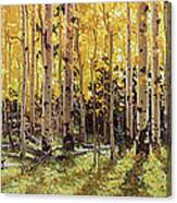 Fall Aspen Panorama Canvas Print