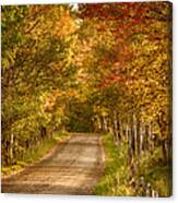 Fall Color Along A Peacham Vermont Backroad Canvas Print