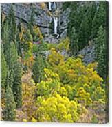 Fall Color And Waterfalls In Provo Canyon Utah Canvas Print