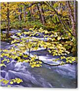 Fall Color In Oirase Canvas Print