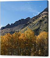 Fall Colors In The Sierra Nevada Canvas Print