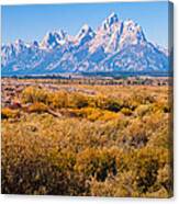 Fall Colors In The Tetons Canvas Print