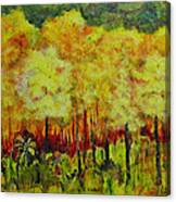 Fall Festival Canvas Print