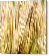 Fall Grass Abstract Canvas Print