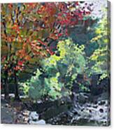 Fall In Mississauga Park Canvas Print