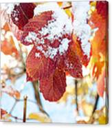 Fall Meets Winter Canvas Print