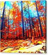 Fall On Fire Canvas Print