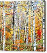 Fall Trees, Shinhodaka, Gifu, Japan Canvas Print