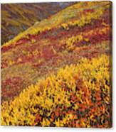 Fall Tundra And First Snow Canvas Print