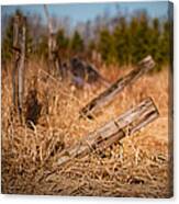 Falling Fence Canvas Print