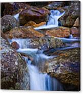 Falling Waters Canvas Print