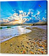 Fantasy Art-birds Flying Into Sunset Over Shell Covered Beach Canvas Print