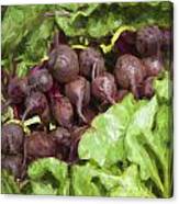 Farmers Market Beets And Greens Square Canvas Print