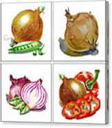 Farmers Market Onion Collection Canvas Print