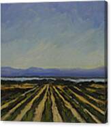 Farming By The Sea Canvas Print