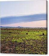 Farms At Sunset, Vale, Butte County Canvas Print