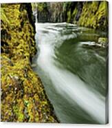 Fast Mountain Stream In Vancouver Canvas Print