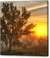 Father's Day Sunrise Canvas Print
