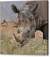 Faux Rhino Canvas Print
