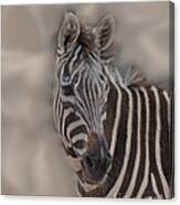 Faux Zebra Canvas Print