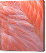 Feather Abstract 2 Canvas Print