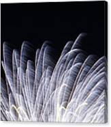 Feathers Of Fire Fireworks Canvas Print