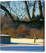 February Morn Canvas Print