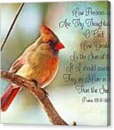 Female Northern Cardinal With Verse Canvas Print