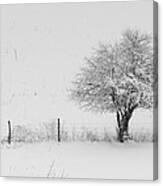 Fence Line In The Wintertime Canvas Print