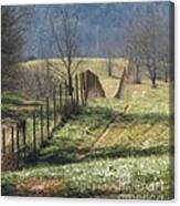 Fence View Canvas Print