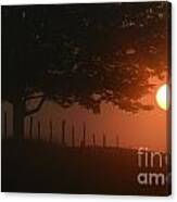 Fenced In Canvas Print