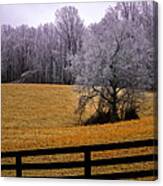 Field Of Dreams Canvas Print