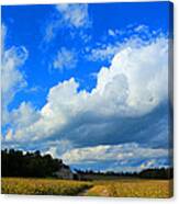 Field Of Dreams Canvas Print