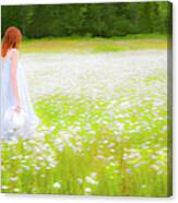 Field Of Dreams Canvas Print