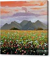 Field Of Flowers Canvas Print