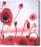 Field Of Red Poppies Canvas Print