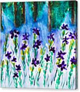 Field Of Violets Canvas Print